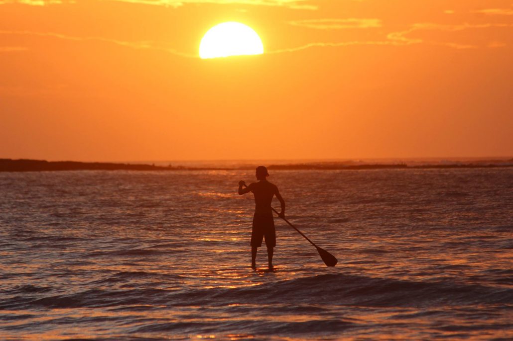 tamarindo stand up paddle board