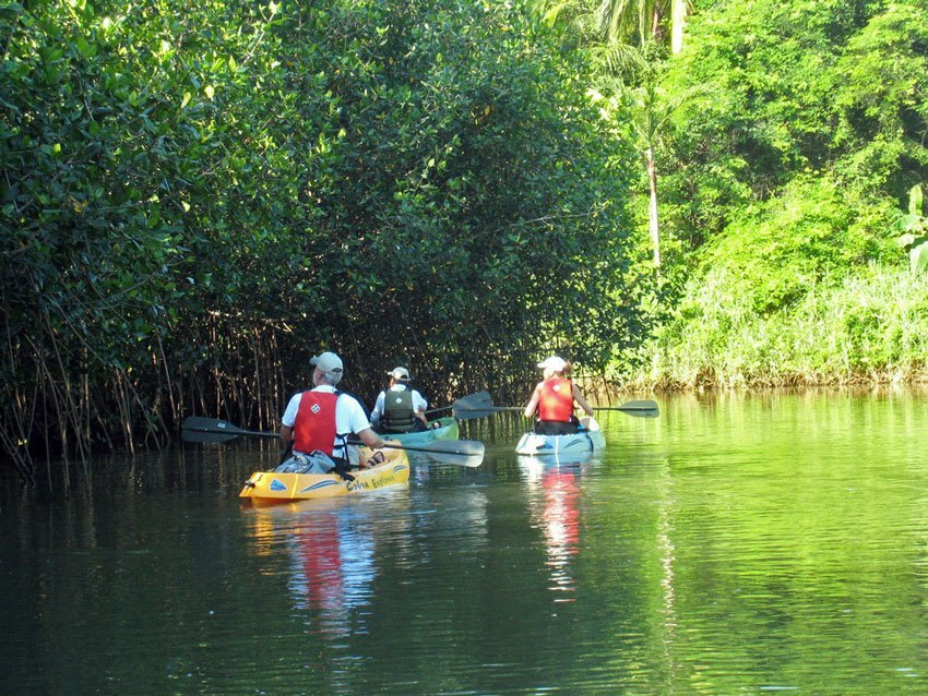 Mangrove Kayaks