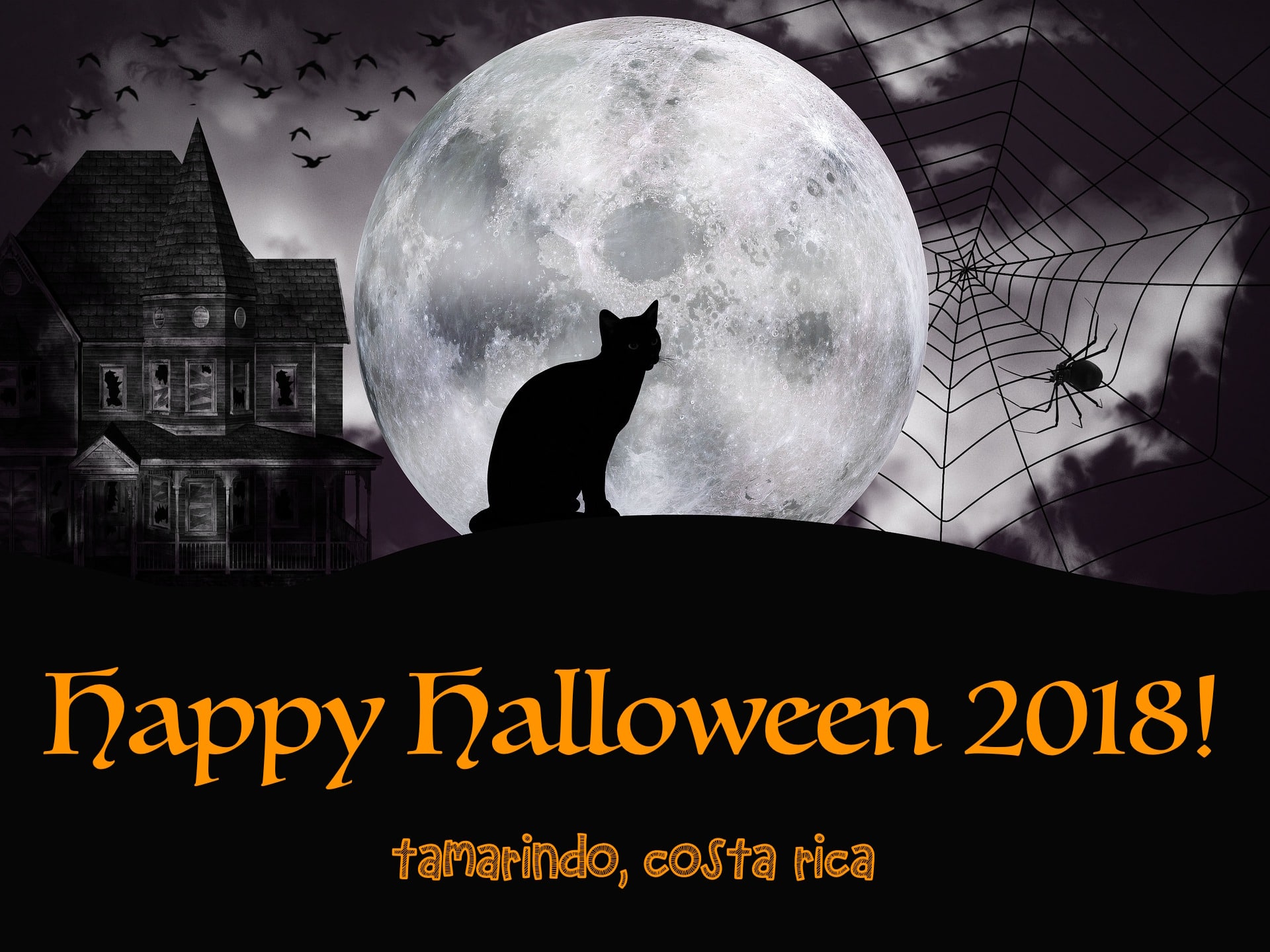 Halloween parties in Tamarindo, Costa Rica-min