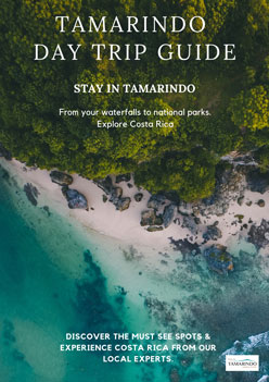 Tamarindo Day Trip Guide