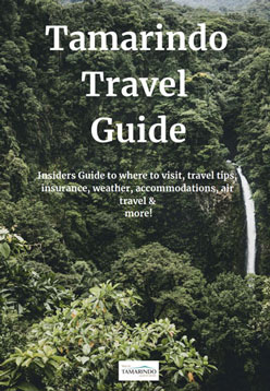 Tamarindo Travel Guide