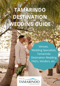 Destination Wedding Guide